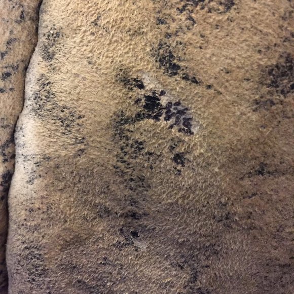 Women's Tan Leather Jacket - Picture 11 of 13